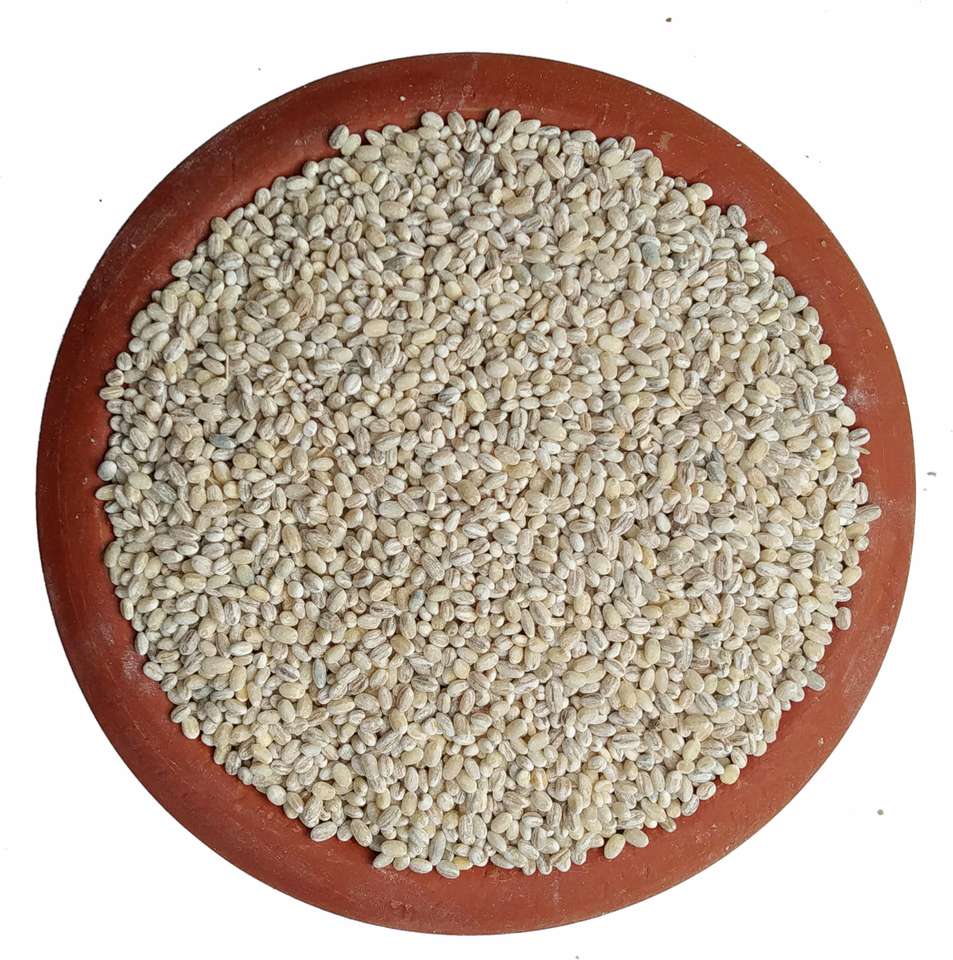 Farmers Grain Traditional Barley (1 kg) Barley Price in India - Buy ...