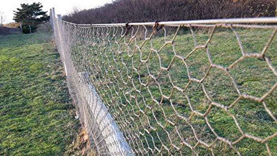 MESH PLANET Iron Tree Guard Fencing Net Bird Net Kabutar Jali Pet Fence ...