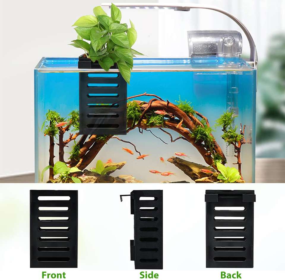 HASTHIP Aquarium Plant Holder with Hooks and Suction Cups, Fish Tank ...
