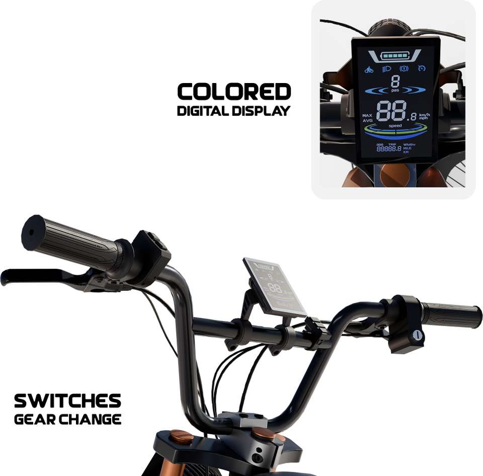 Hoopoe Bikes XO-Ride Conqueror Electric Cycle-250W Motor | 36V 15AH ...