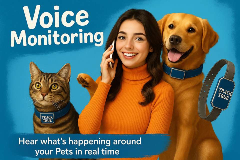 TRACKTRUE Smart GPS Tracker: Real-Time Location Tracking for Dogs, Cats ...