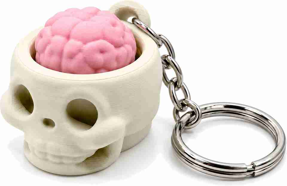 Brain Set JIYANSHI RETAIL Skull Brain Clicker Fidget Keychain Key Chain Price in ...