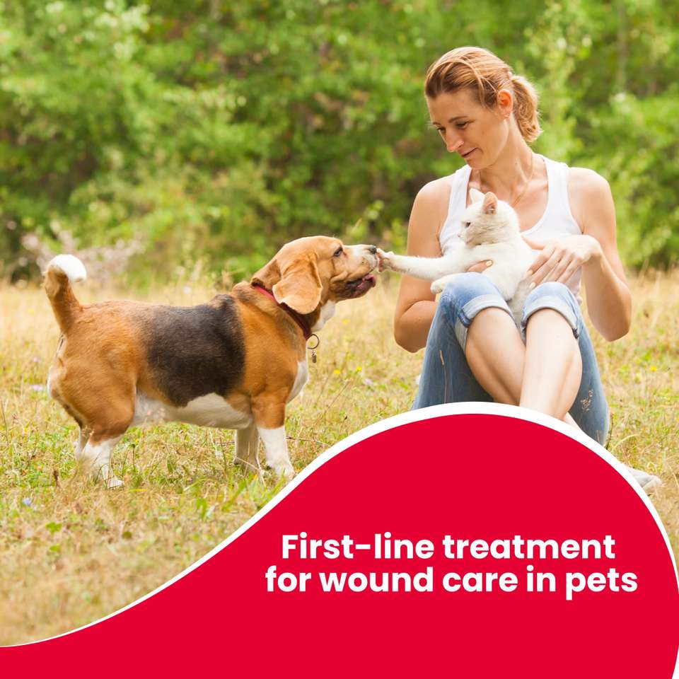 Beaphar Wound Healing Spray for Dogs & Cats 125 ml Pet Coat Cleanser ...