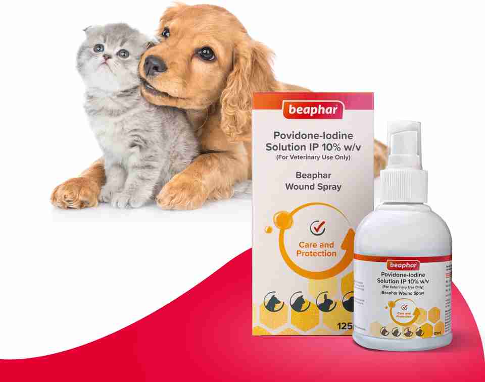 Beaphar Wound Healing Spray for Dogs & Cats 125 ml Pet Coat Cleanser ...