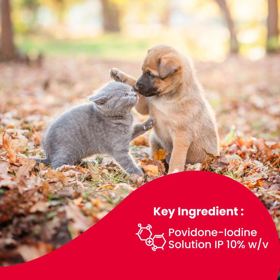 Beaphar Wound Healing Spray for Dogs & Cats 125 ml Pet Coat Cleanser ...