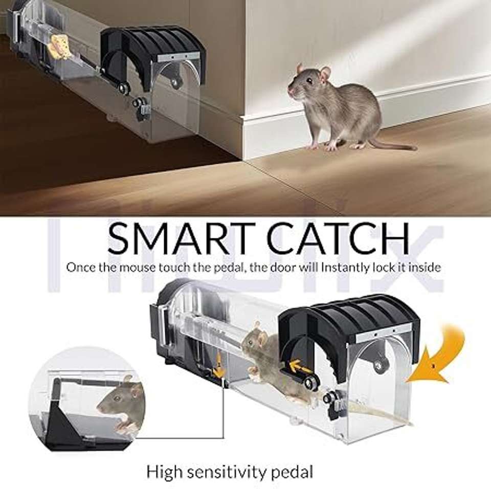 New R Trap RaaKrion New Rat Traps Live Trap Price in India - Buy RaaKrion New Rat ...