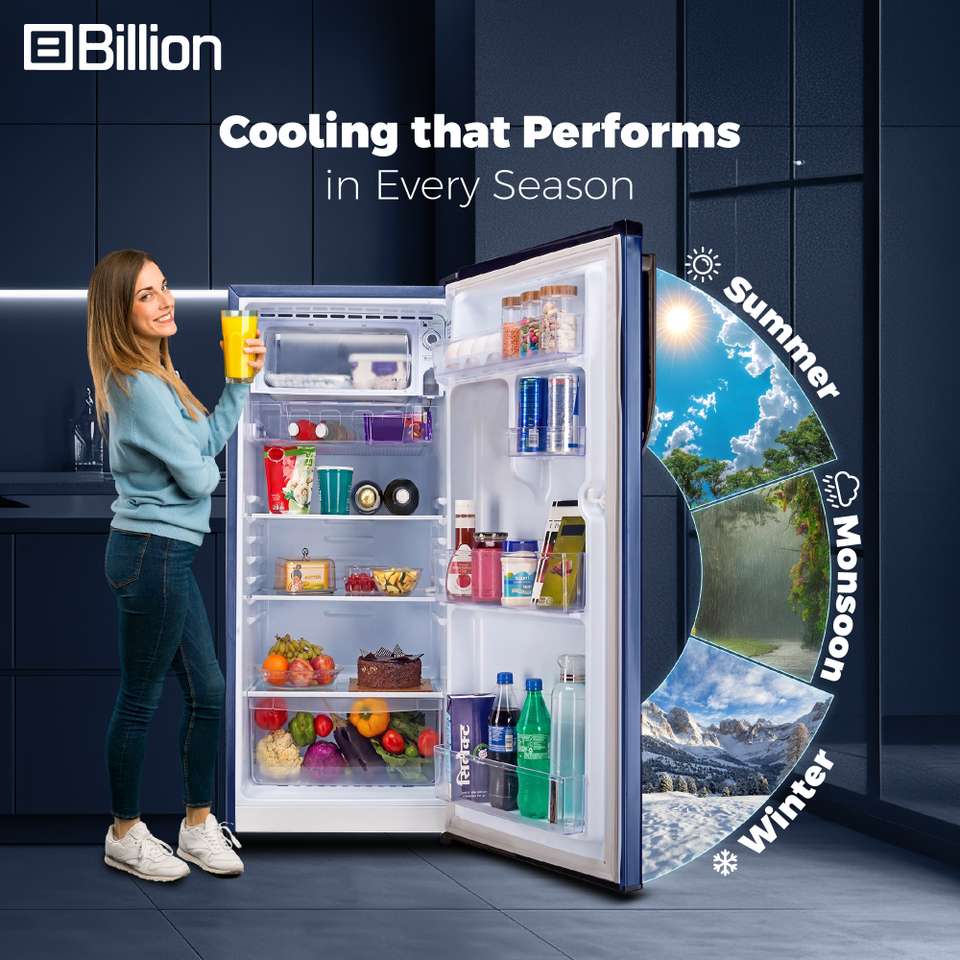 Billion 338 L Frost Free Double Door 2 Star Convertible Refrigerator ...