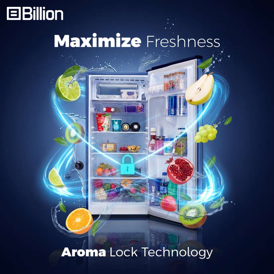 Billion 338 L Frost Free Double Door 2 Star Convertible Refrigerator ...