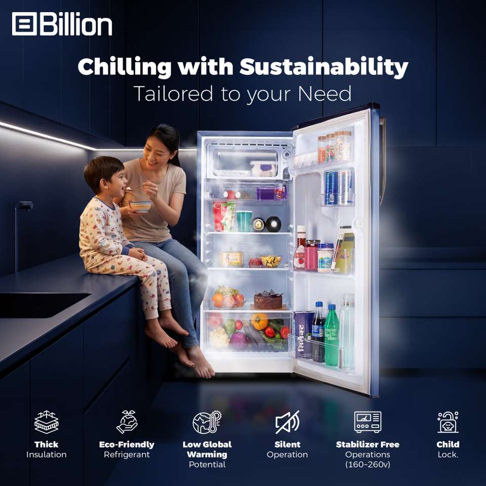 Billion 338 L Frost Free Double Door 2 Star Convertible Refrigerator ...