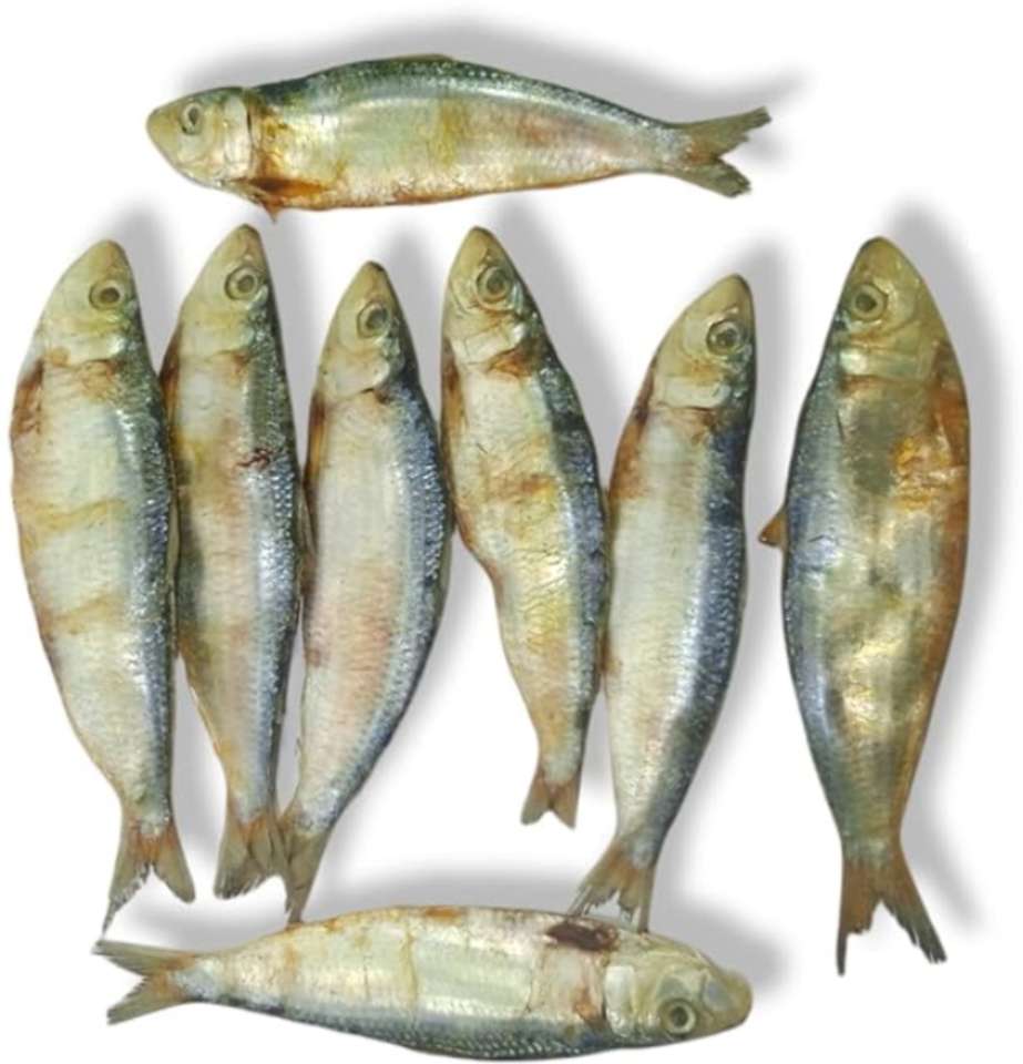 AL-HAQQ Sardine | Chala | Mathi Dry Fish Whole Price in India - Buy AL ...