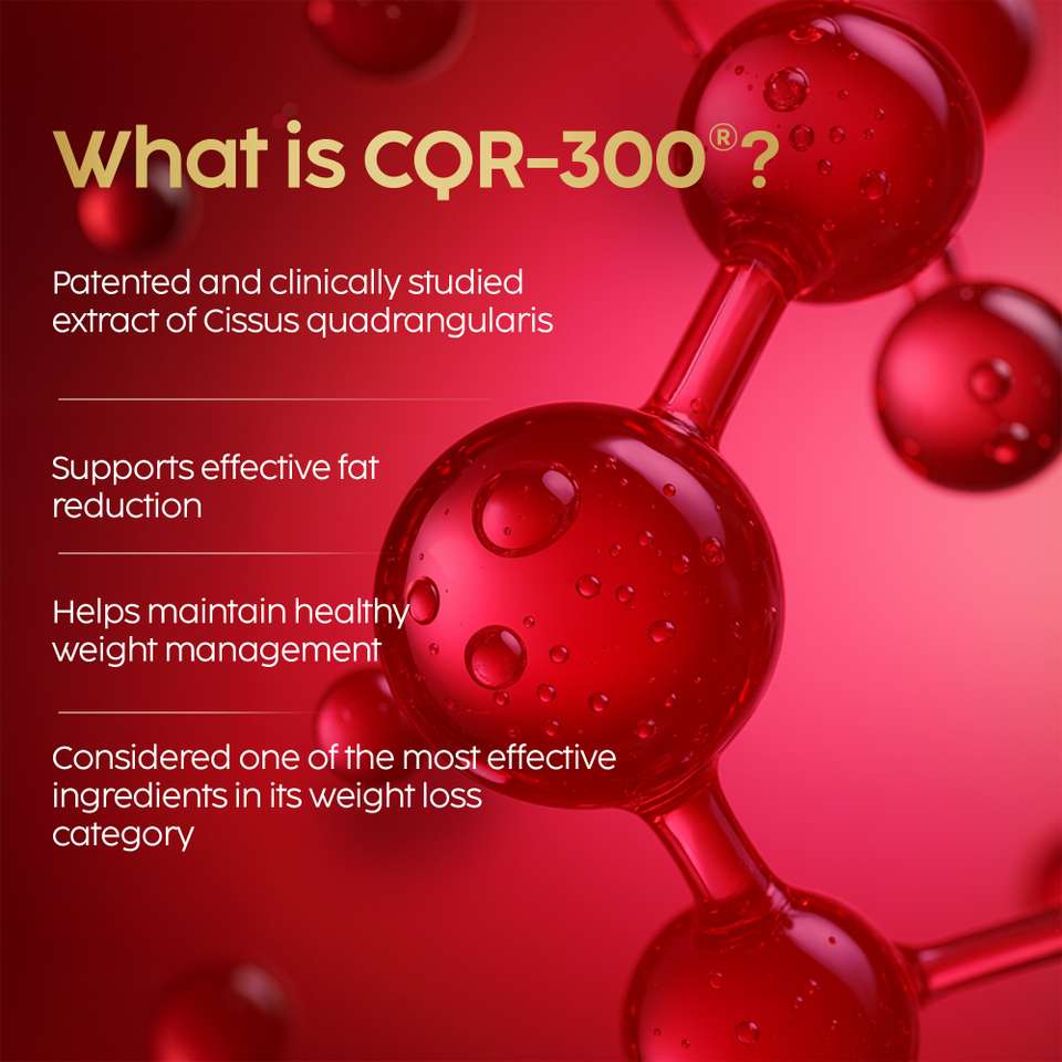 The Plant Fix Plix ACV CQR Plus Effervescent | Fat Reduction ...