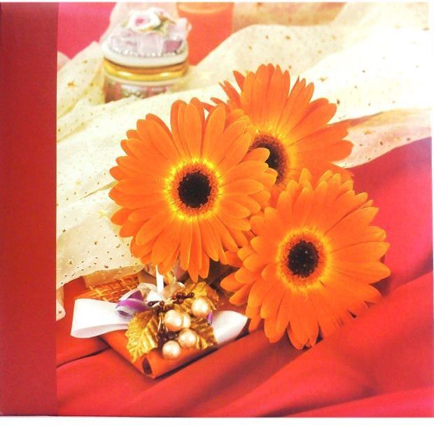 highpride Photo Album 200 pocket 4 x 6 inch Album-picture-12