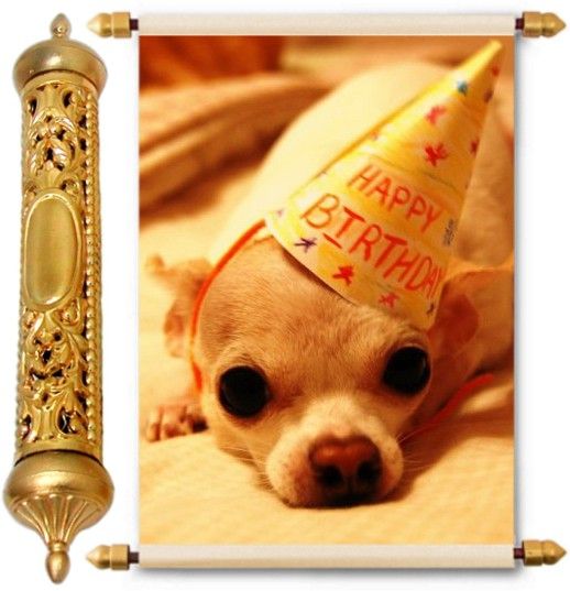 lolprint Gold Birthday Gift Scroll Greeting Card-picture-19