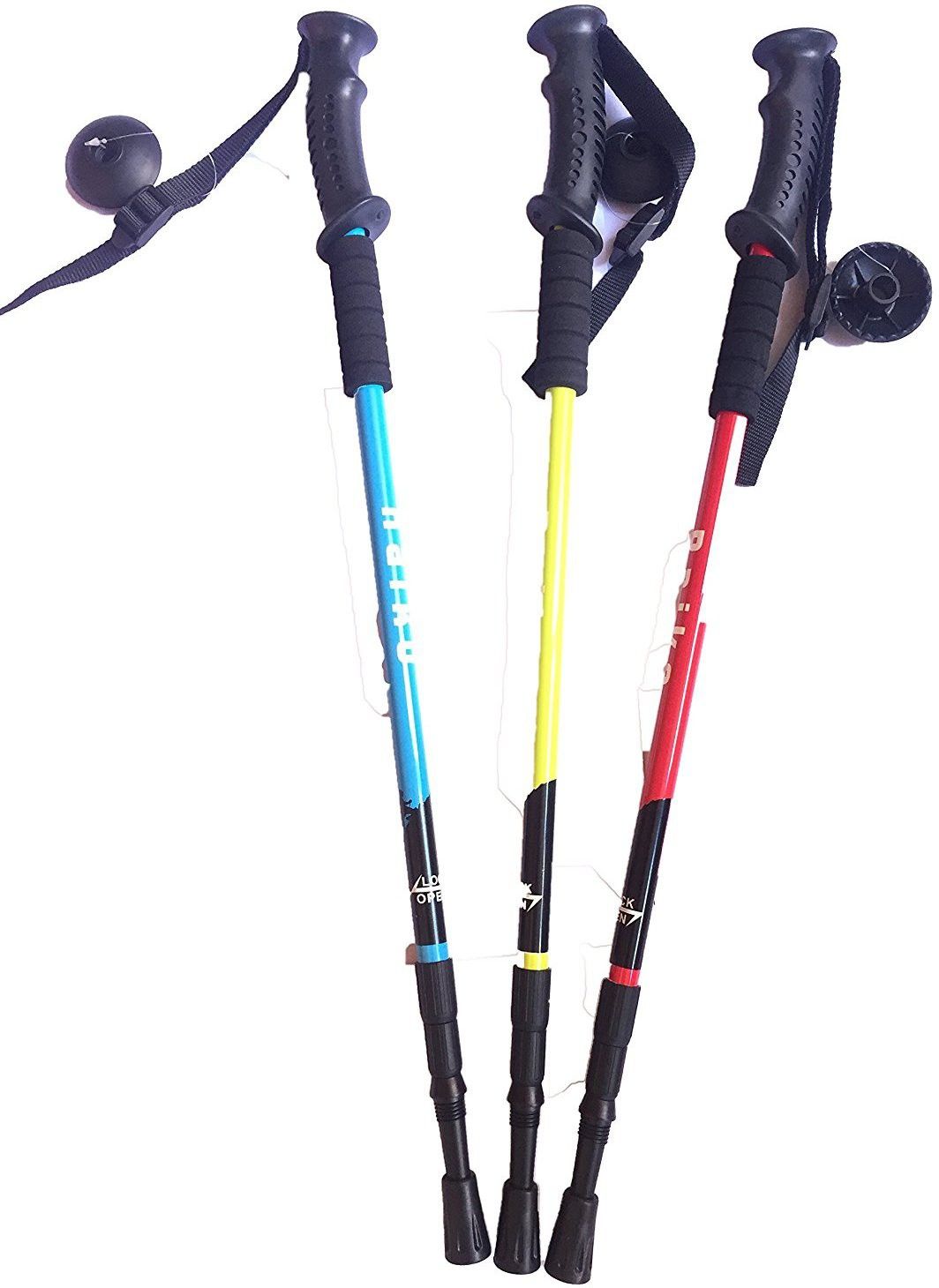 lista 1 Section Trekking Pole-picture-7