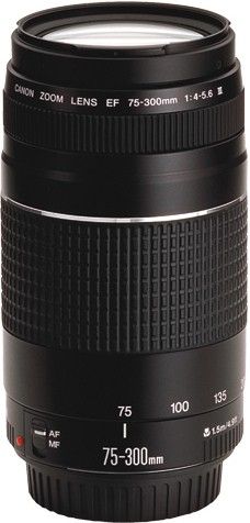Canon EF 75-300mm f/4-5.6 iii Telephoto ZoomLens