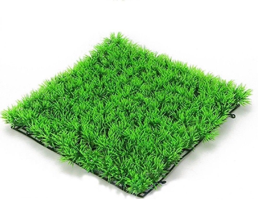 jainsons pet products Crushed Coral Unplanted Substrate-picture-6