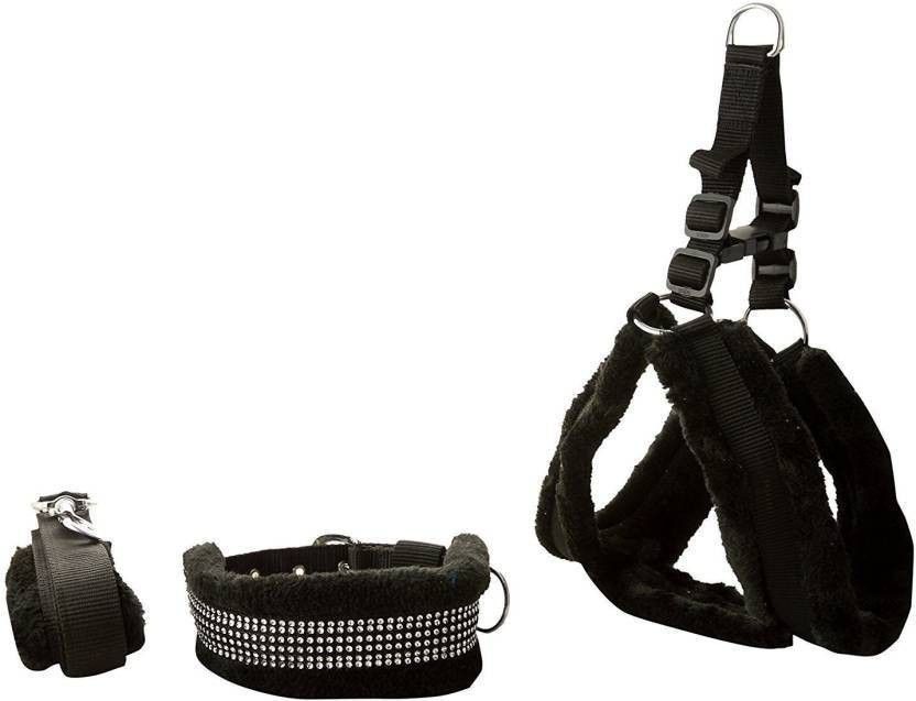 Dog Collar & Leash-image-15