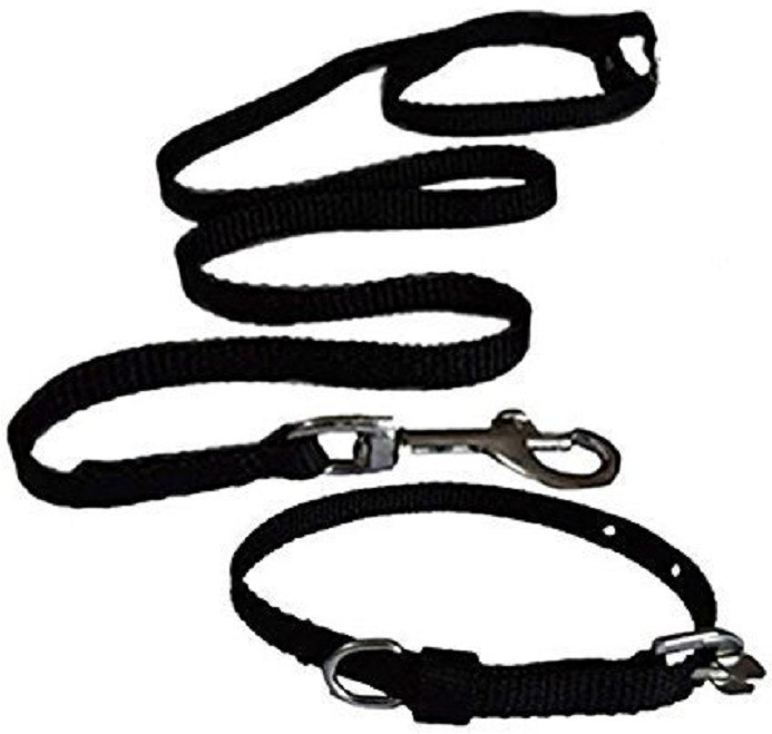 dogii .5 inches solid black collar leash set Dog & Cat Collar & Leash image 1