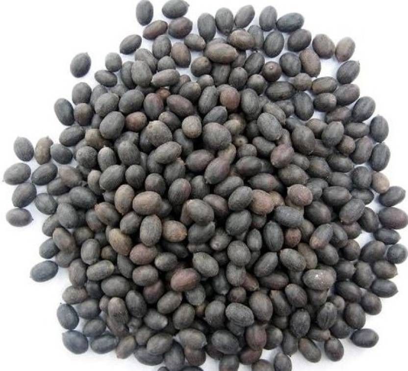 LOTUS SEED, KAMAL GATTA Seed-image-48