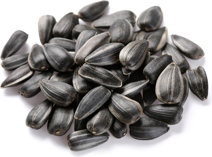 kolkata orchid online SUNFLOWER SEEDS FOR BIRD - BLACK OIL SEEDS, for Bird Feeding, 500 Grams 1 kg Dry Adult Bird Food-picture-48