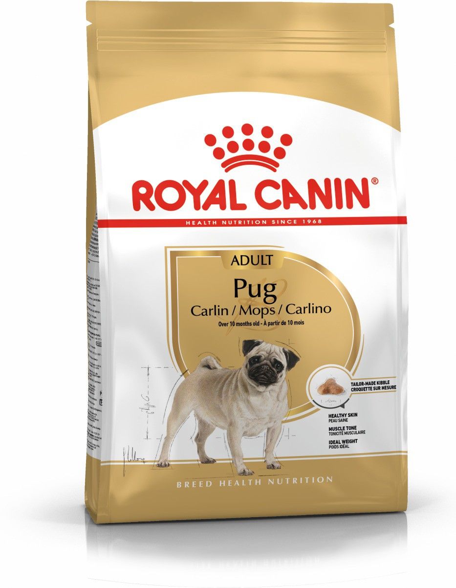 Royal Canin Pug Adult Dry Dog Food