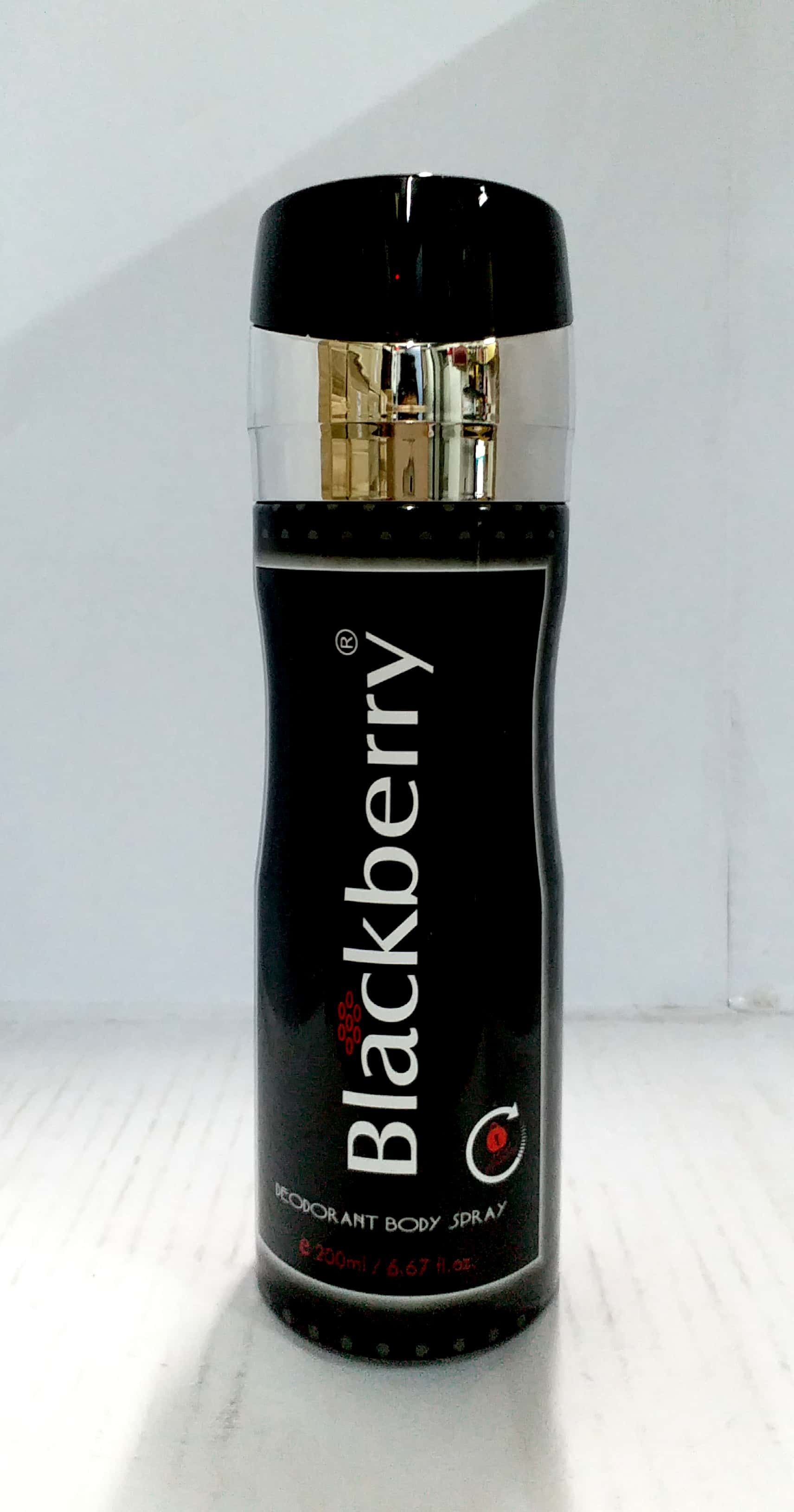 st. louis Blackberry Deodorant Body Spray 200ml Deodorant Spray-For Men-picture-21