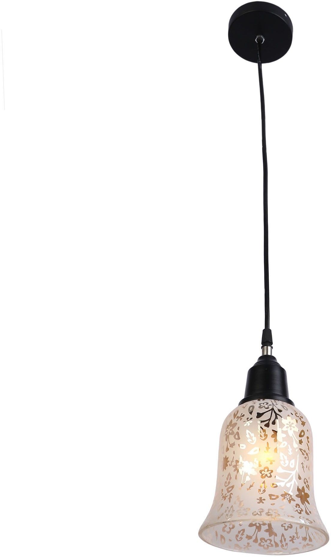 Pendant Lamp Ceiling Lamp-image-36