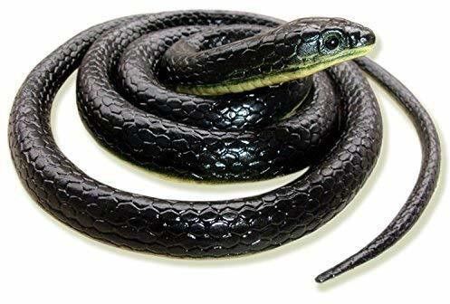 satlok RUBBER SNAKE REALISTIC FAKE SNAKE GAG TOY SNAKE TOY FOR KIDS (MULTI COLOR) snack Gag Toy-picture-23