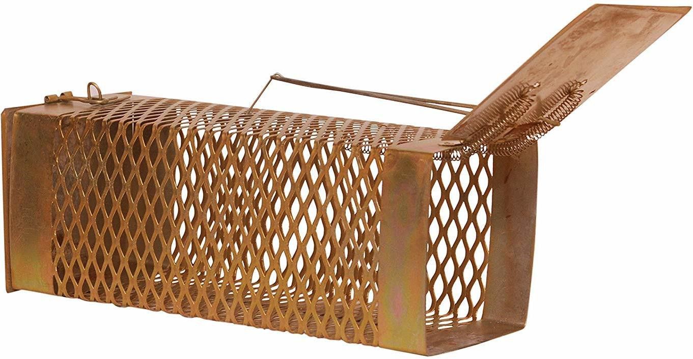 Rat Trap Cage ( 26 X 11.5 X 10 cm) Iron Gold Color Criss Cross Live Trap-image-9