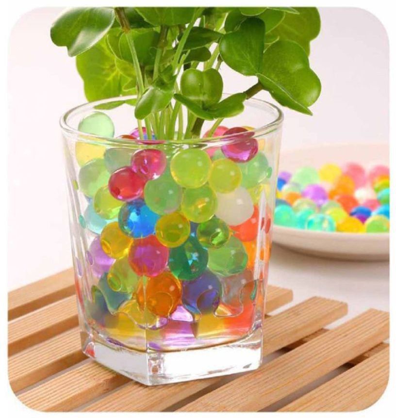 green plant indoor Jelly16 Vase Filler-picture-11