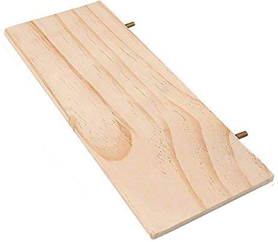 sage square Natural Wood Platform cum Perch cum Stand Bird Toy Ideal for Lovebird, Budgerigar, Sun Conure, Pionus, Quaker Parrot, Cockatiel, Finch, Canary, Budgeri (Large Size) (12" / 30.5 cm) Wooden Training Aid For Bird-picture-36
