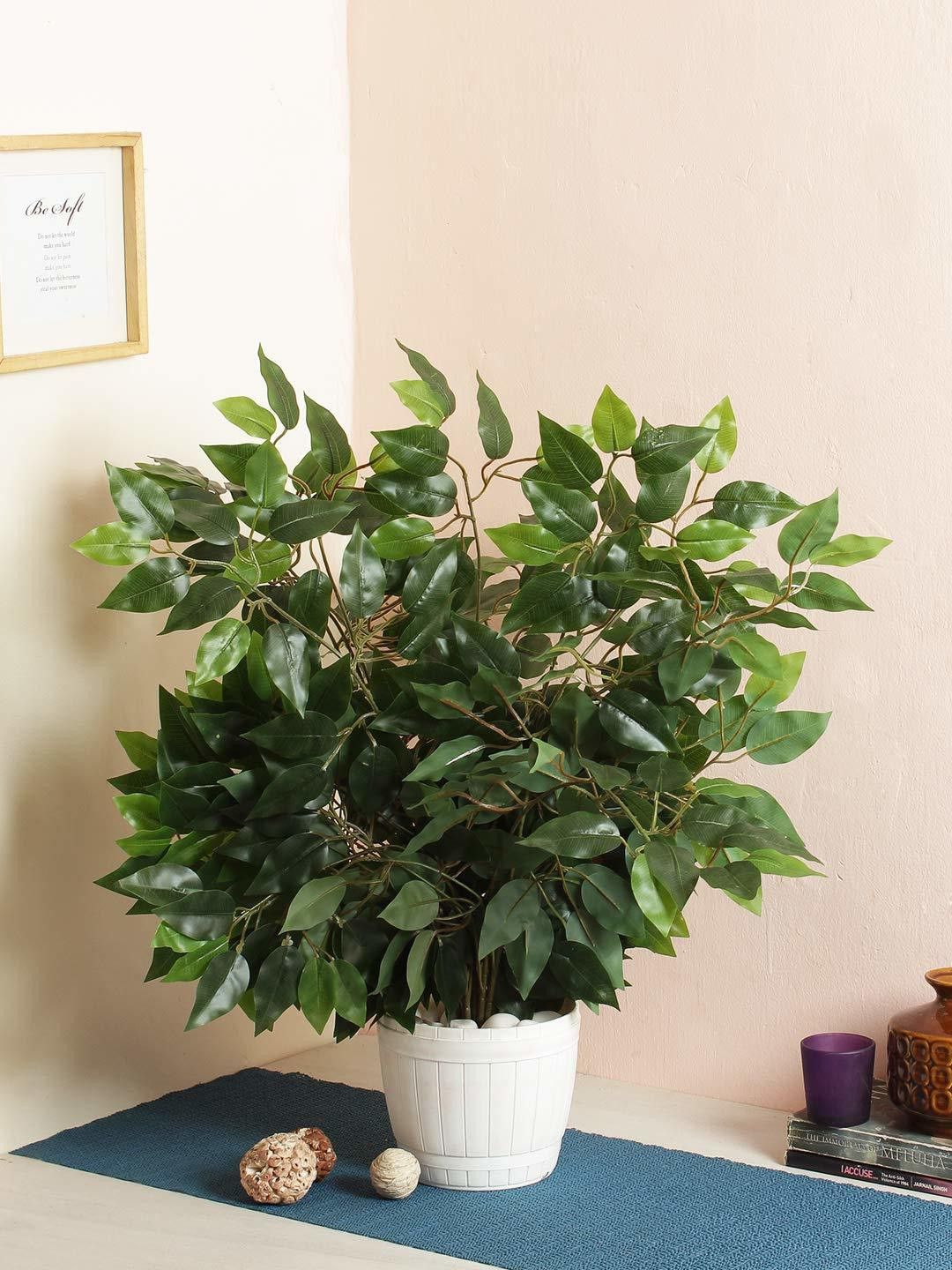 Well Art Gallery Artificial Trees Leaves Decorative Ficus Plants & 42 Leaves Theme Created This Product Easy Install &Washable Perfect Product for Your Home Decor (60 cm Tall, Set of 6, Green ) Artificial Plant-picture-18