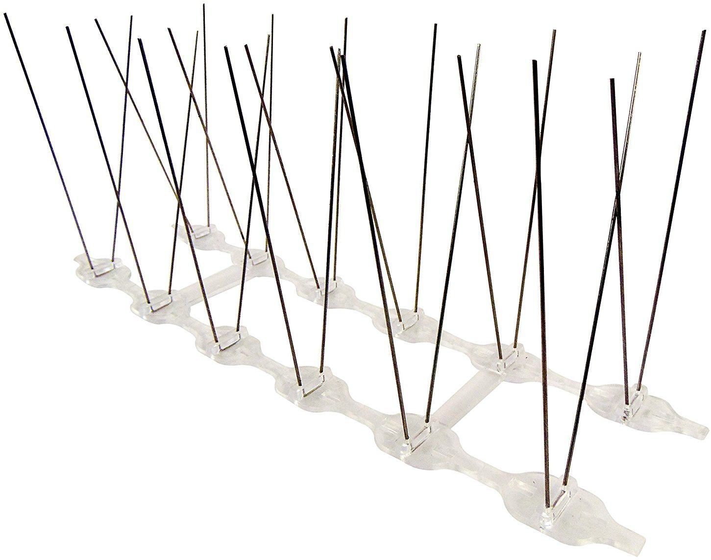 wne jaliwale Bird Spike-picture-25