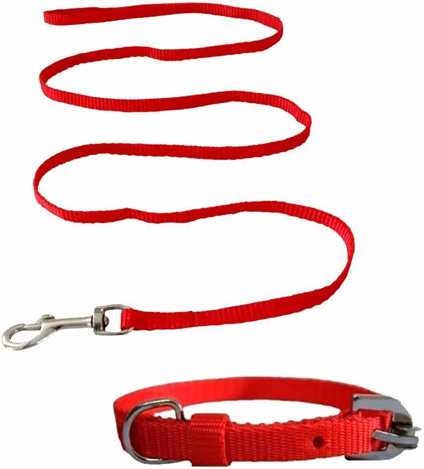 Dog & Cat Collar & Leash-image-12