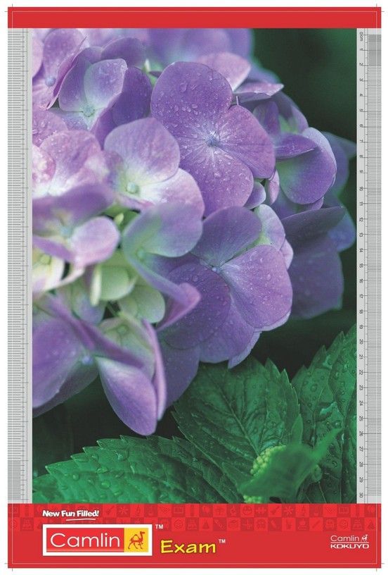 Exam Clip Board-image-15