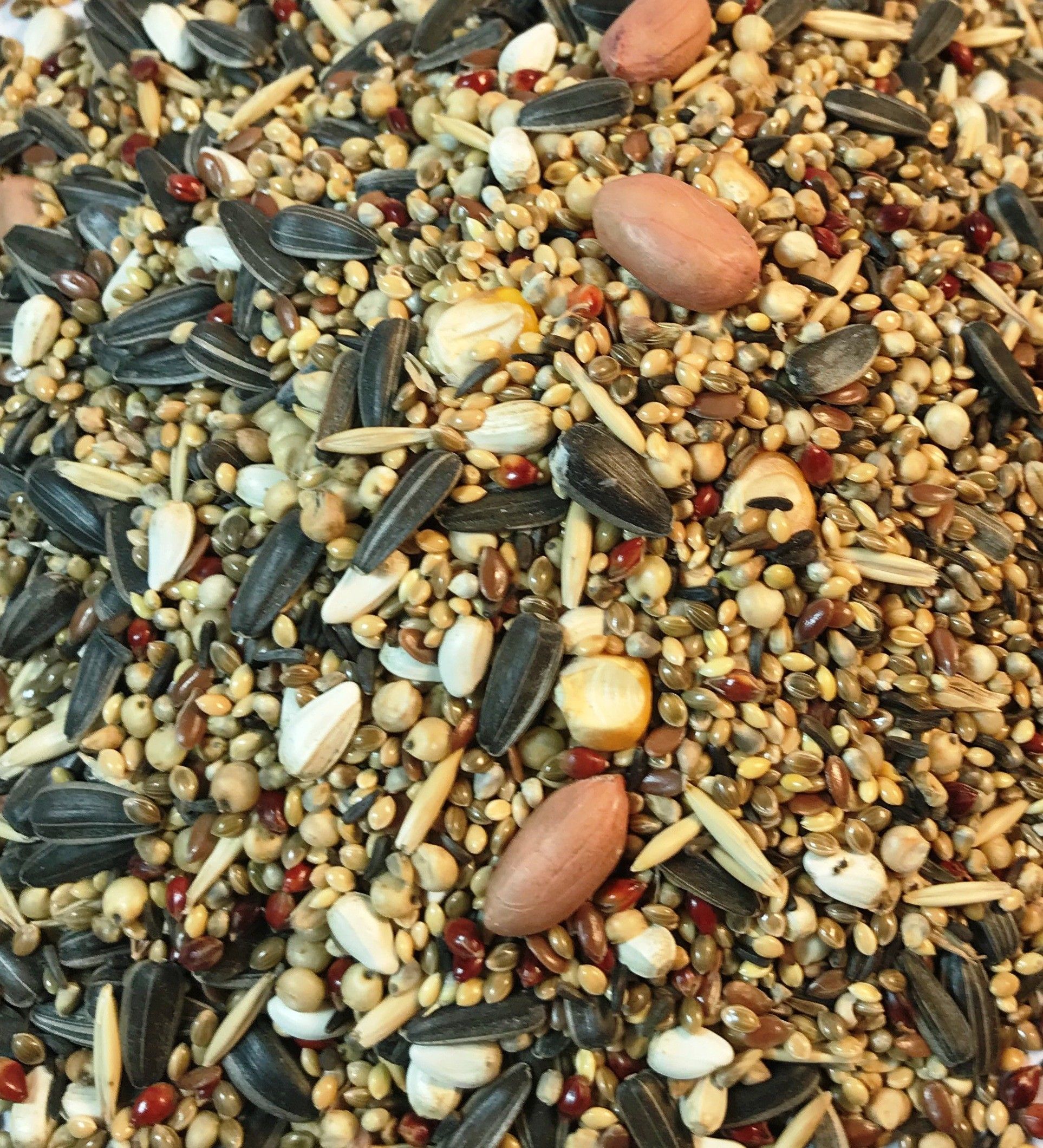 nitishree Premium Special Bird Food for Budgies - Mix Seeds 1kg 1 kg Dry New Born, Adult, Young, Senior Bird Food-picture-21
