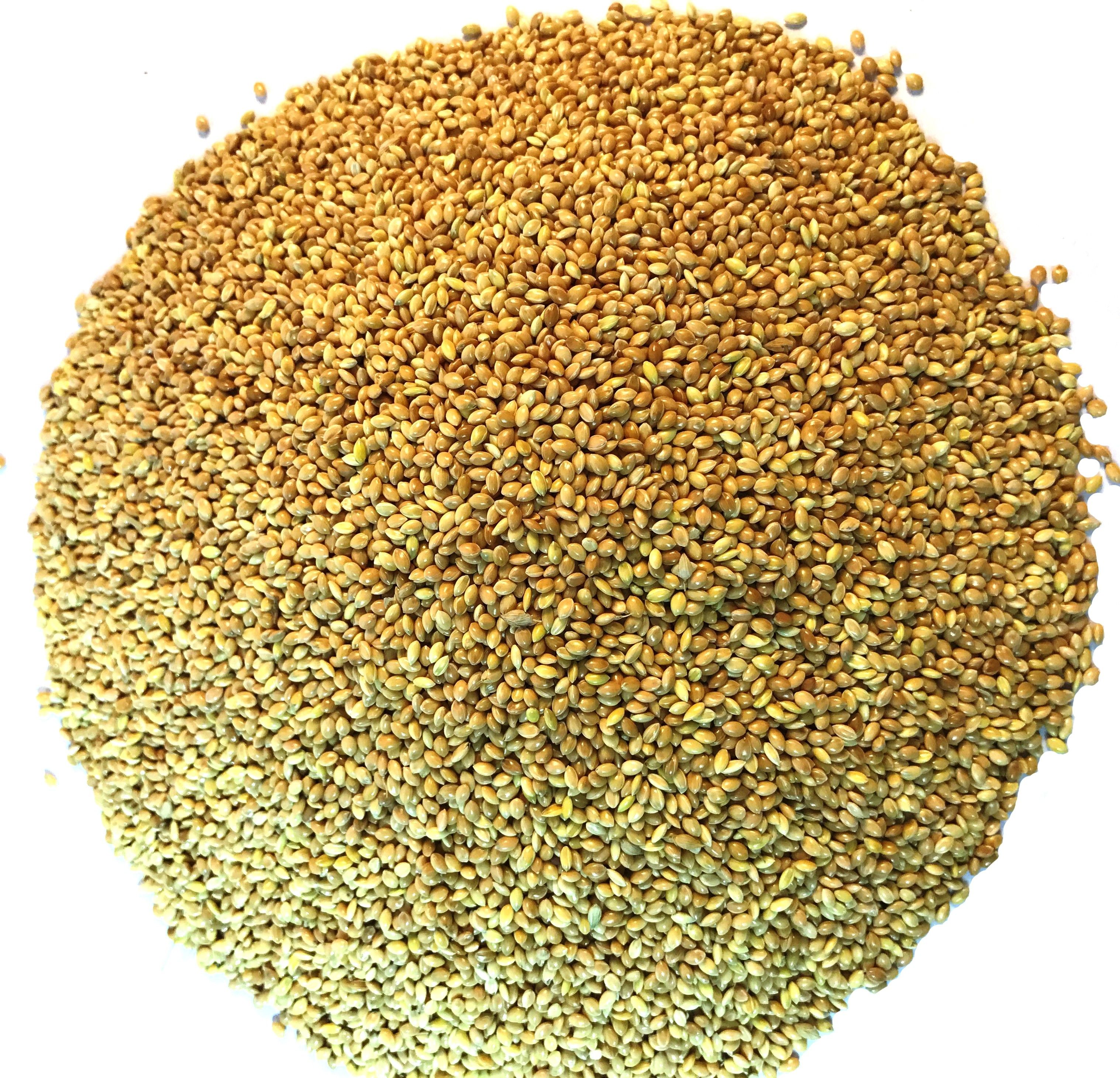 nitishree Premium Moti Seed Bird Food- 500 Gms 0.5 kg Dry New Born, Adult, Young, Senior Bird Food-picture-22