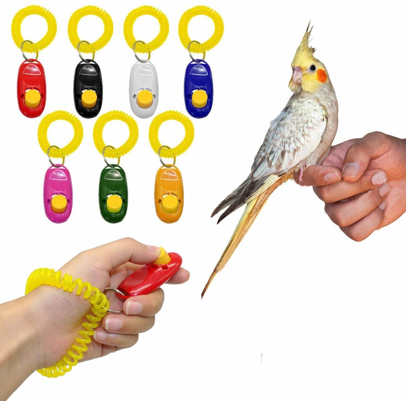 sage square Pet Training Clicker With Wrist Strap For Bird / Parrots / Budgies (Random) Plastic Training Aid For Bird-picture-29