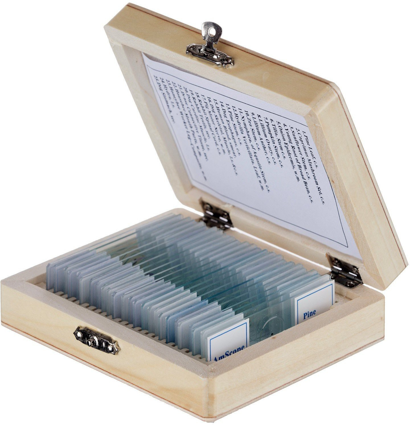 bexco Slide Box of 25 Prepared Slides of Zoology Microscope Slide Box image 1
