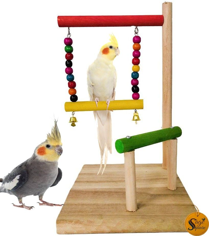 sage square Two levels Training Gym cum Exercise Stand with Natural Wood Playful Bird Stand / Bird Toy (16 Inches) Wooden Perch, Training Aid, Stick For Bird-picture-15