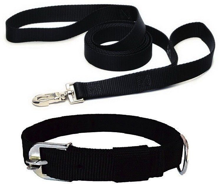senapati Belts (Waterproof, Medium, Leash Size 1.5M-2M) Dog Collar & Leash-picture-20