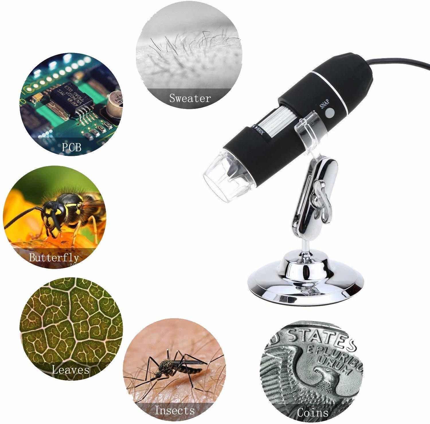 1000x 2MP 8 LED USB Portable Digital Microscope / Dermascope / Endoscope Zoom Camera Magnifier +Stand (Windows 8 - 1000x) (Black)