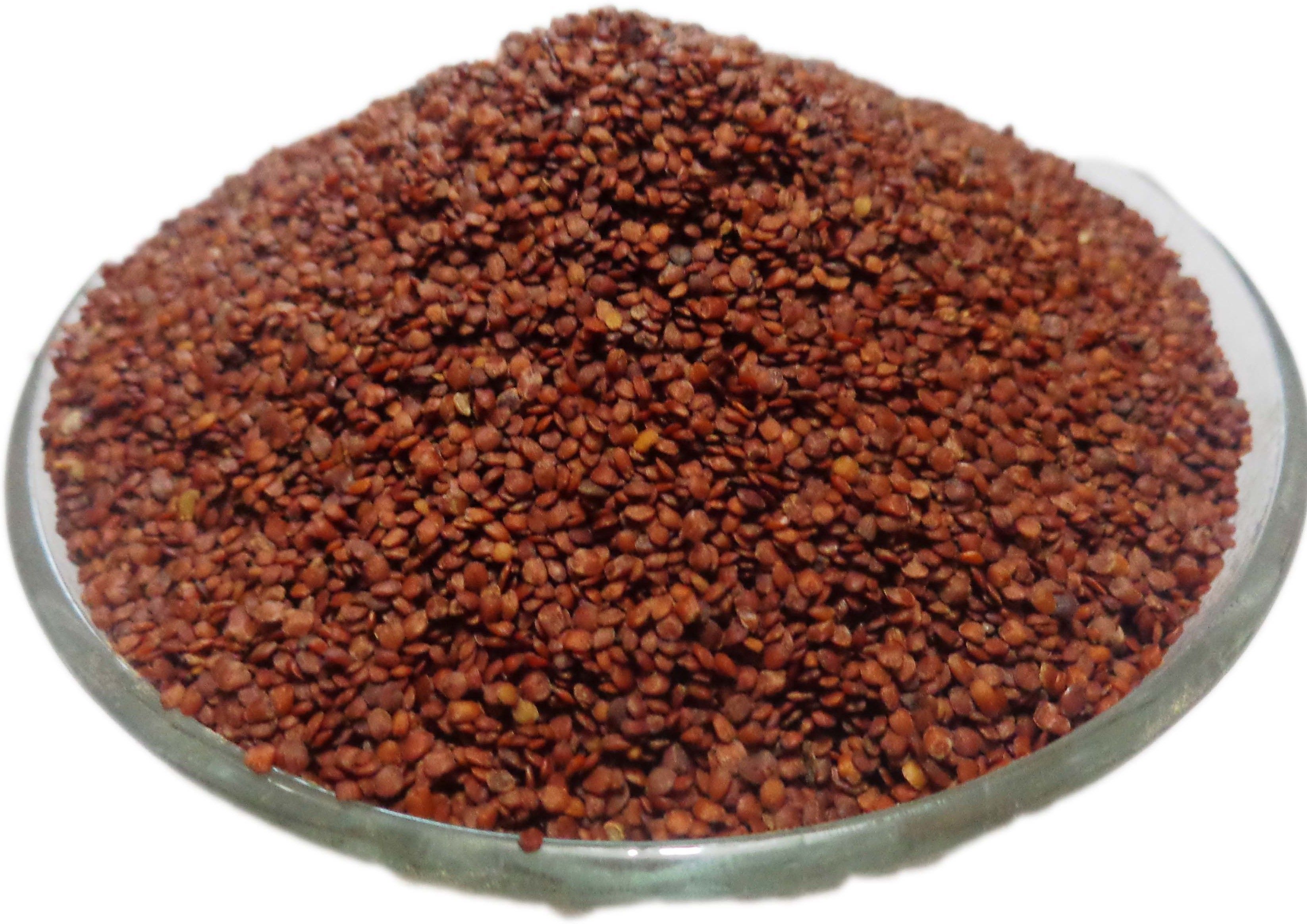 Talmakhana Kokilaksha Iksura TAAL MAKHANA ASTERACANTHA root Seed-image-27
