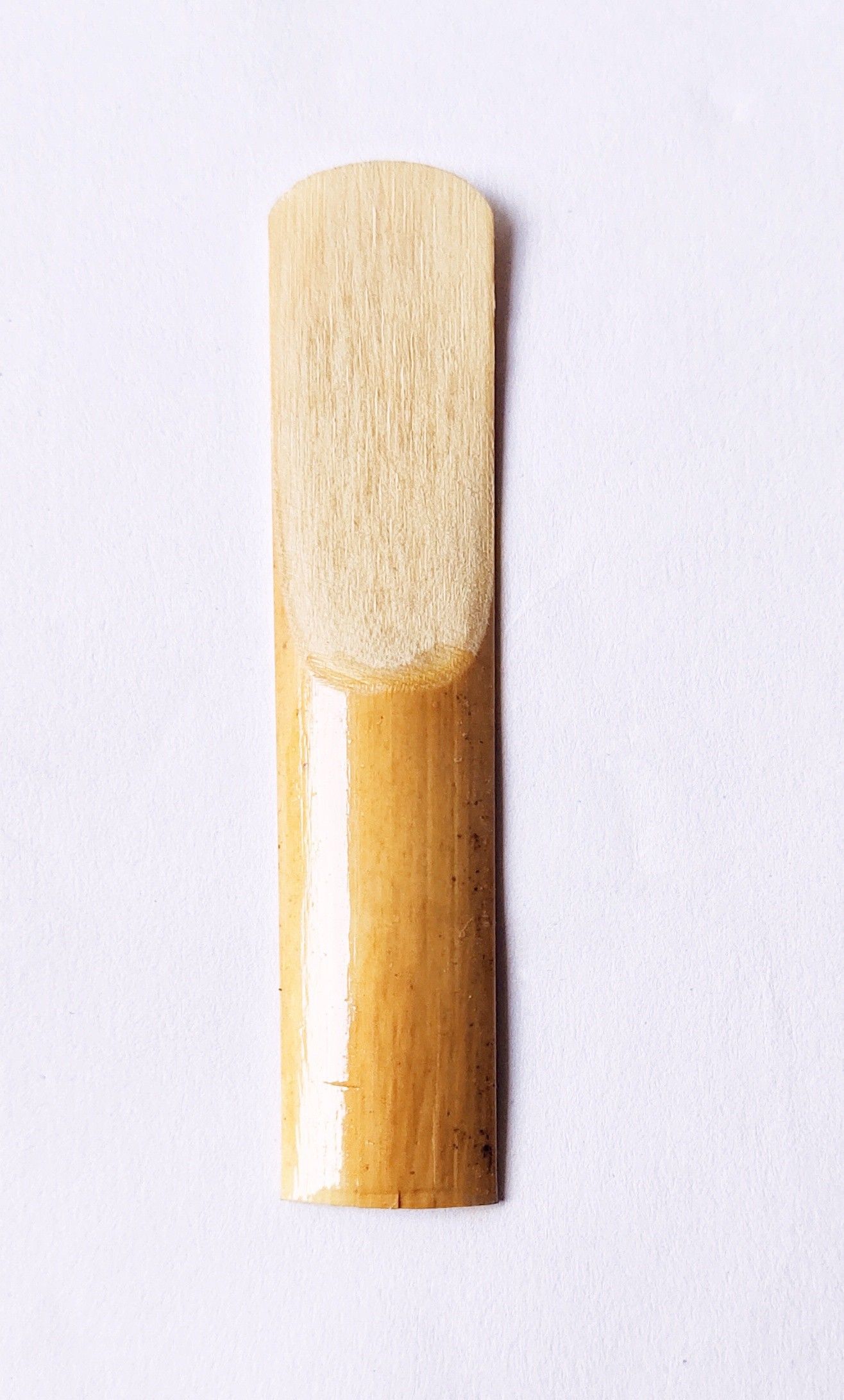 saxophone reed 1 pc Reed-image-41