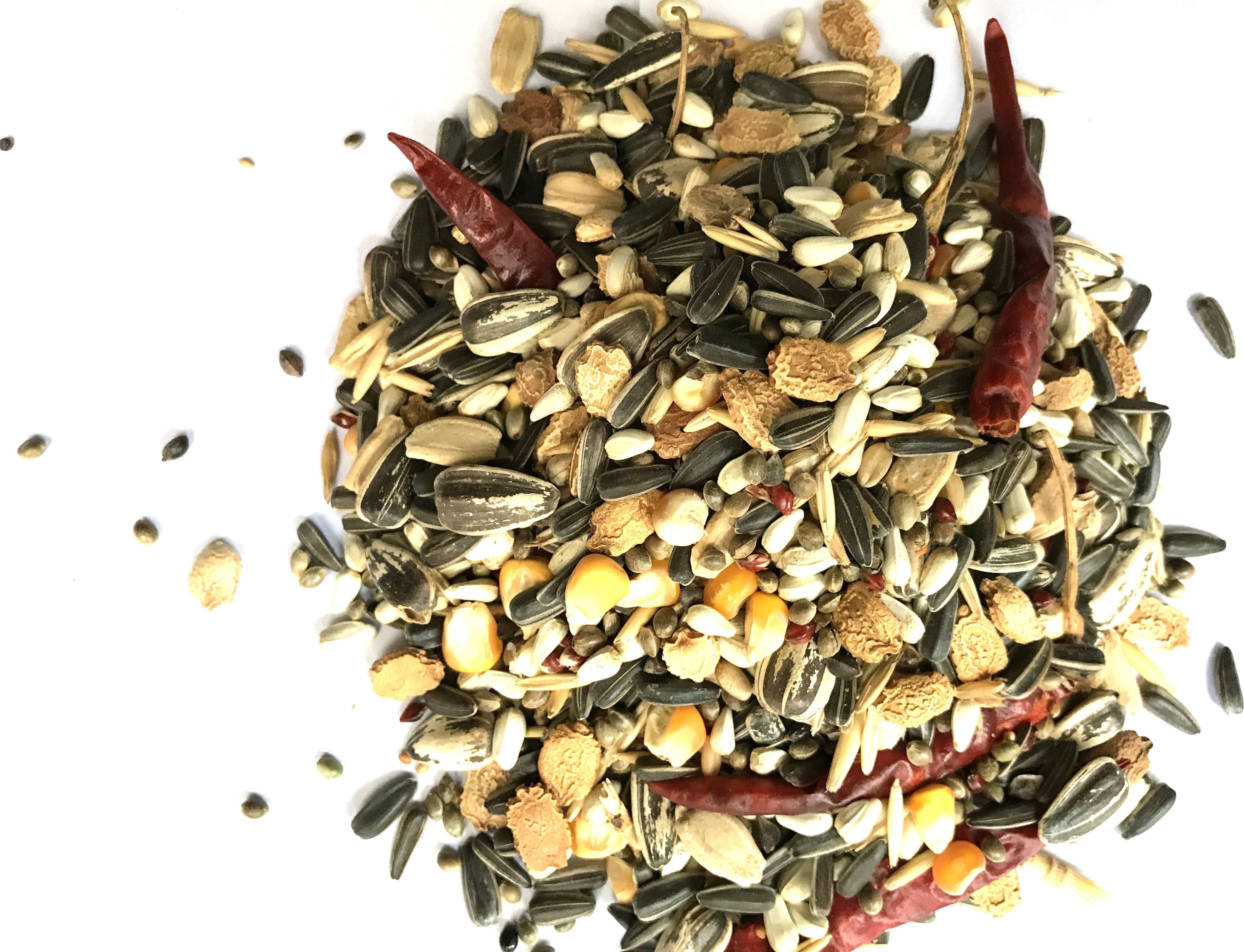 nitishree Premium Macaws, Cockatoo, Big Parrots, Large Parrots and African Grey Parrot Bird Food Mix - 500 GMS Nuts 0.5 kg Dry Adult, Young, Senior Bird Food-picture-21