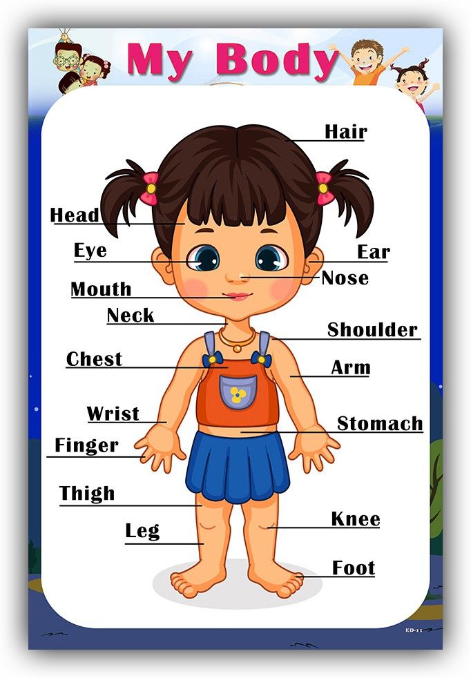 Xpression Decor Months of year Charts Wall Poster for school and home Décor Paper Print-image-25