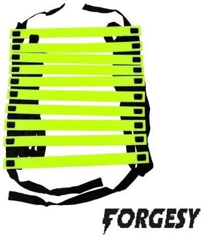 forgesy Plastic 400 cm Trampoline Ladder-picture-11