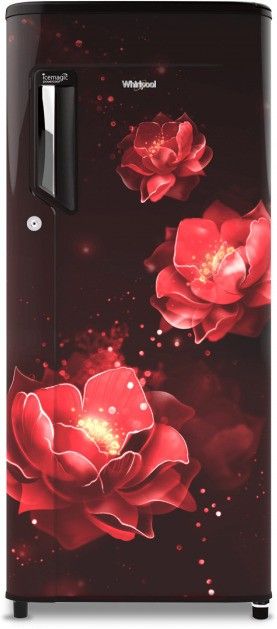 200 L Direct Cool Single Door 3 Star Refrigerator-image-43