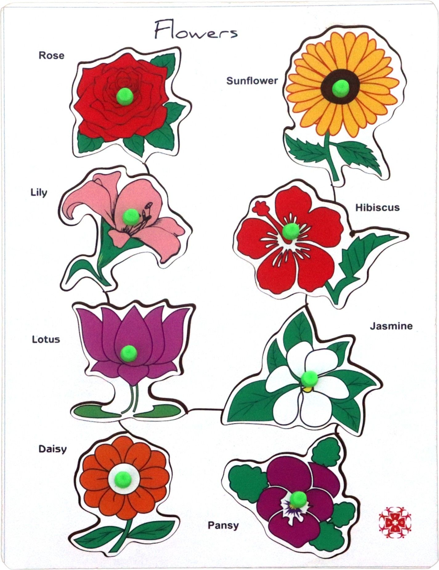 beybee Educational Learning Wooden Puzzle Flower Name Tray with knobs Board for Kids-picture-18