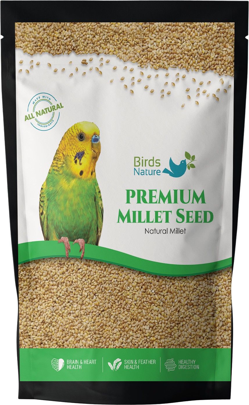 Premium Yellow Millet, Kang Seed Bird Food for Cocktail, Silver, Finches, Munias, Parakeets, Parrots,Quails, Native American Sparrows, Doves, Cardinals & Exotic Birds 500g 0.5 kg Dry New Born, Adult, Young, Senior Bird Food-image-46